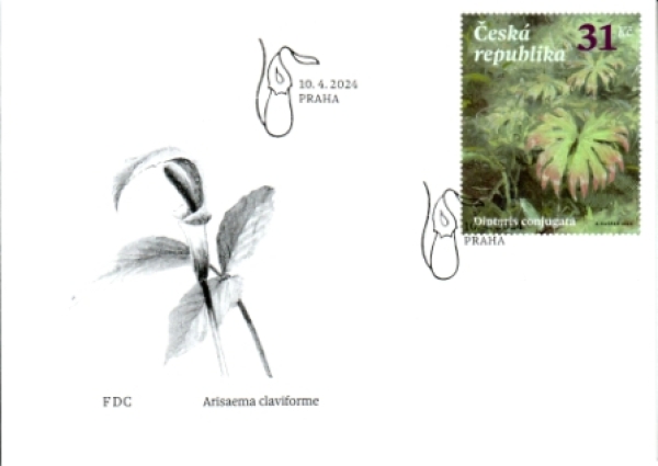 FDC 1253 / 1255 ● - 2024